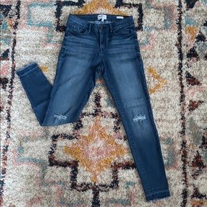 William Rast Ankle Skinny Jeans